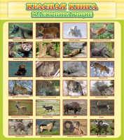 Стенд "Красная книга - млекопитающие" - fgospostavki.ru - Тольятти