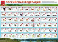 Стенд "Красная книга РФ" - fgospostavki.ru - Тольятти