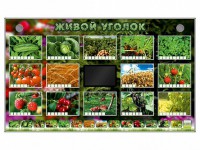 Комплект оборудования "Живой уголок" (растения) - fgospostavki.ru - Тольятти