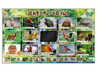 Комплект оборудования "Живой уголок" (животные) - fgospostavki.ru - Тольятти