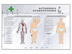 Электрифицированный стенд "Остановка кровотечения" - fgospostavki.ru - Тольятти
