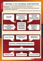 Комплект таблиц. ОБЖ. Здоровый образ жизни. - fgospostavki.ru - Тольятти