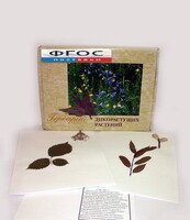 Гербарий "Дикорастущие растения" (28 видов) - fgospostavki.ru - Тольятти