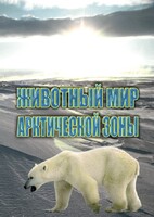 DVD "Животный мир Арктической зоны" - fgospostavki.ru - Тольятти