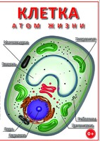 DVD "Клетка - "атом жизни" - fgospostavki.ru - Тольятти