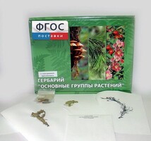 Гербарий "Основные группы растений" (52 листа) - fgospostavki.ru - Тольятти