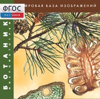 Ботаника. Микрофотографии. (Цифровая база изображений) - fgospostavki.ru - Тольятти
