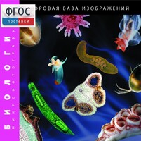 Биология. Микрофотографии. (Цифровая база изображений) - fgospostavki.ru - Тольятти