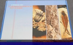 Коллекция "Палеонтологическая" (16 образцов) - fgospostavki.ru - Тольятти