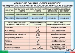 Таблица. Сравнение понятий изомер и гомолог. Функциональные группы классов органических веществ. - fgospostavki.ru - Тольятти