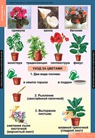 Комплект таблиц. Окружающий мир 1 класс. - fgospostavki.ru - Тольятти