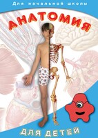 DVD "Анатомия для детей" - fgospostavki.ru - Тольятти