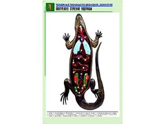Рельефная таблица "Внутреннее строение ящерицы" (формат А1, матовое ламинирование) - fgospostavki.ru - Тольятти