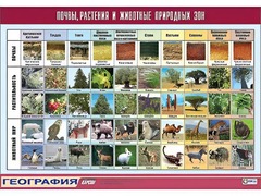 Таблица демонстрационная "Почвы, растения и животные природных зон" (винил 70*100) - fgospostavki.ru - Тольятти