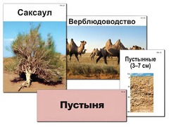 Модель-аппликация "Природные зоны России" (ламинированная) - fgospostavki.ru - Тольятти