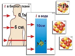 Модель-аппликация "Явление радиоактивности" (ламинированная) - fgospostavki.ru - Тольятти