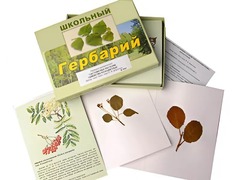 Гербарий "Систематика растений. Семейство Розоцветные" (раздаточный) - fgospostavki.ru - Тольятти