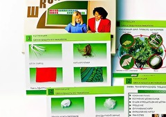 Коллекция "Шелк и продукты его переработки" (средняя школа) - fgospostavki.ru - Тольятти