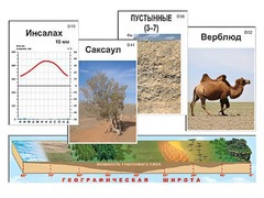 Модель-аппликация "Природные зоны" - fgospostavki.ru - Тольятти