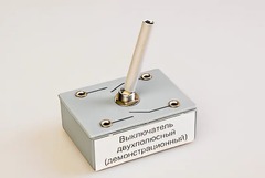 Выключатель двухполюсный (демонстрационный) - fgospostavki.ru - Тольятти