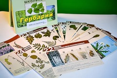 Гербарий к курсу основ общей биологии - fgospostavki.ru - Тольятти