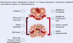 Интерактивные курсы. Биология 9 класс. Расширенный. - fgospostavki.ru - Тольятти