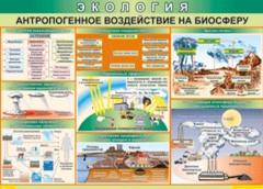 Таблица "Антропогенное воздействие на биосферу" (100х140 сантиметров, винил) - fgospostavki.ru - Тольятти
