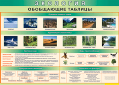 Таблица "Экология. Обобщающие таблицы" (100х140 сантиметров, винил) - fgospostavki.ru - Тольятти