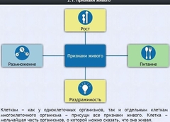 Интерактивные курсы. Биология 5 класс. Базовый - fgospostavki.ru - Тольятти