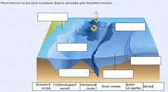 Интерактивные курсы. География 7 класс . Базовый. - fgospostavki.ru - Тольятти