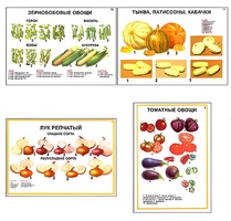 Плакаты ПРОФТЕХ "Ассортимент овощных культур" (12 пл, винил, 70х100) - fgospostavki.ru - Тольятти