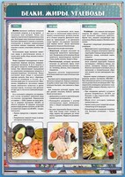 Стенд "Белки. Жиры. Углеводы" - fgospostavki.ru - Тольятти