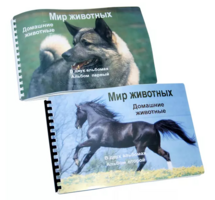 Пособие для слабовидящих - Домашние животные - fgospostavki.ru - Тольятти