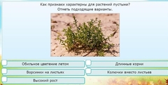 Интерактивные курсы. Окружающий мир 3 класс . Базовый. - fgospostavki.ru - Тольятти