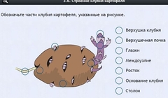 Интерактивные курсы. Биология 6 класс. Расширенный - fgospostavki.ru - Тольятти