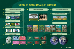 Электрифицированный стенд "Уровни организации жизни" - fgospostavki.ru - Тольятти