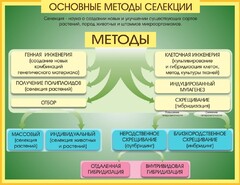 Стенд "Методы селекции и биотехнологии" - fgospostavki.ru - Тольятти