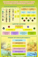 Стенд "Классификация животного мира" - fgospostavki.ru - Тольятти