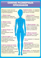 Стенд "Снятие мерок" Вариант 2 - fgospostavki.ru - Тольятти