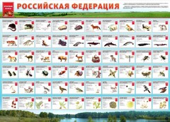 Стенд "Красная книга РФ" - fgospostavki.ru - Тольятти