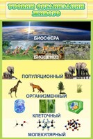Стенд "Уровни организации живого" - fgospostavki.ru - Тольятти