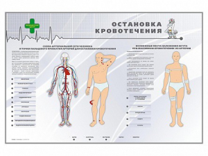 Электрифицированный стенд "Остановка кровотечения" - fgospostavki.ru - Тольятти