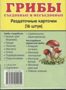 Раздаточные карточки "Грибы съедобные и не съедобные" - fgospostavki.ru - Тольятти