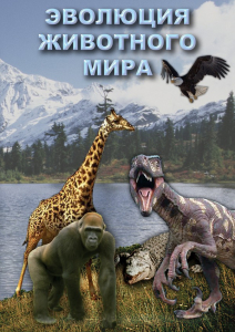 DVD "Эволюция животного мира" - fgospostavki.ru - Тольятти
