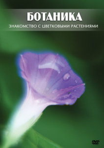 DVD "Ботаника. Знакомство с цветковыми растениями" - fgospostavki.ru - Тольятти