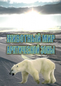 DVD "Животный мир Арктической зоны" - fgospostavki.ru - Тольятти