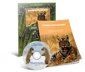 Электронное наглядное пособие «Млекопитающие» - fgospostavki.ru - Тольятти
