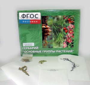 Гербарий "Основные группы растений" (52 листа) - fgospostavki.ru - Тольятти