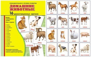 Демонстрационные карточки "Домашние животные" - fgospostavki.ru - Тольятти