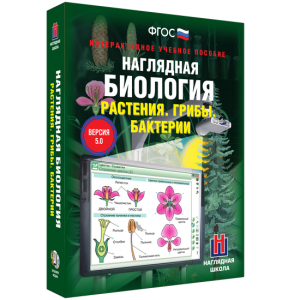 Наглядная биология. 6 класс. Растения. Грибы. Бактерии - fgospostavki.ru - Тольятти
